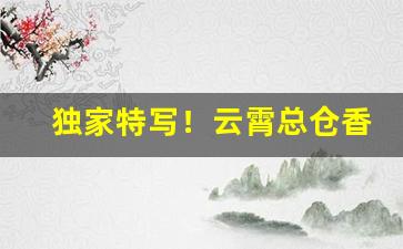独家特写！云霄总仓香烟批发“心事重重”