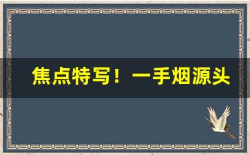 焦点特写！一手烟源头“厝火积薪”