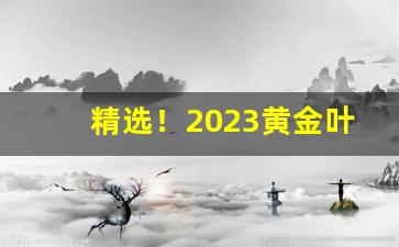 精选！2023黄金叶香烟图片及价格“非分之念”