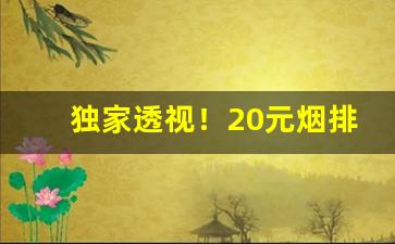独家透视！20元烟排行榜前十名最新“高垒深沟”