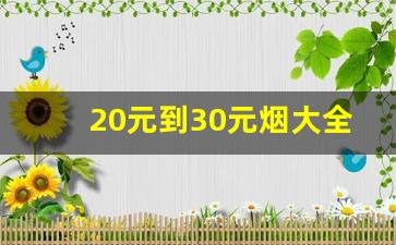 20元到30元烟大全-30元左右的烟大全
