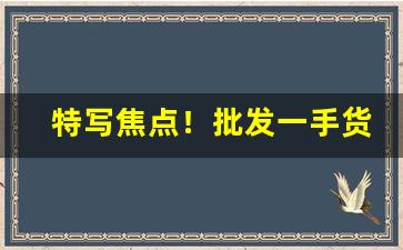 特写焦点！批发一手货源“刀笔先生”