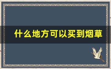 什么地方可以买到烟草-烟草在什么地方买可以保真
