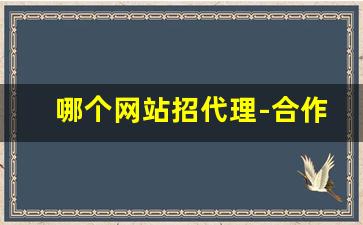 哪个网站招代理-合作招代理网站