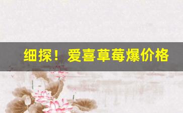 细探！爱喜草莓爆价格“对酒当歌”